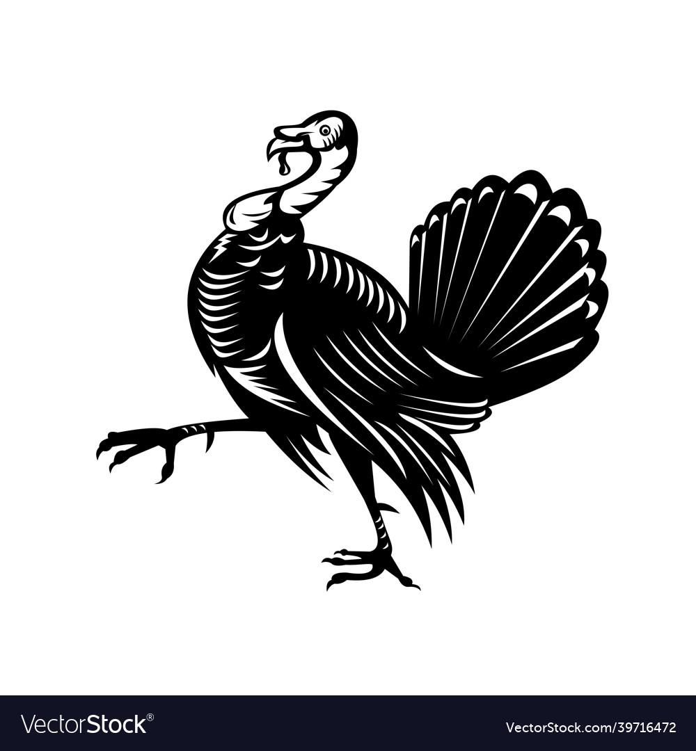 Wild turkey marching side view retro black Vector Image