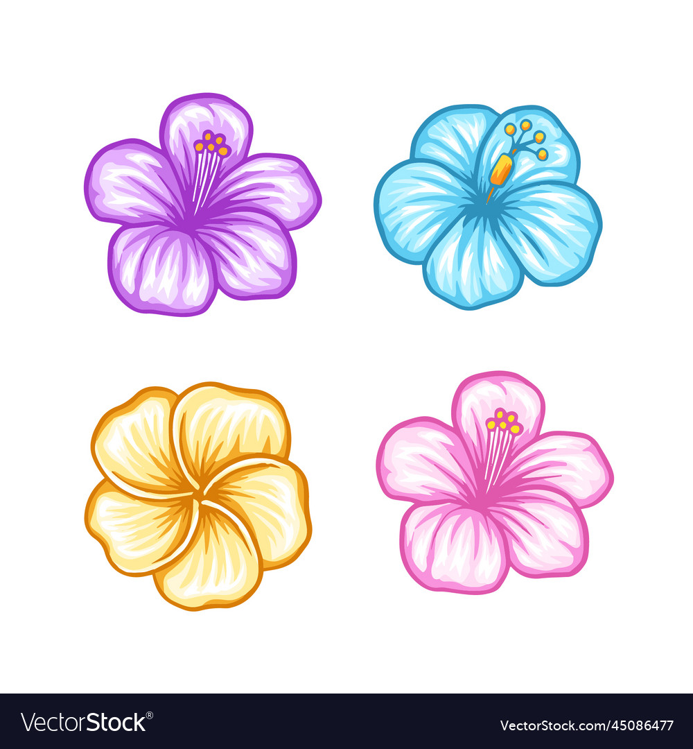 Tropical flower design set Royalty Free Vector Image