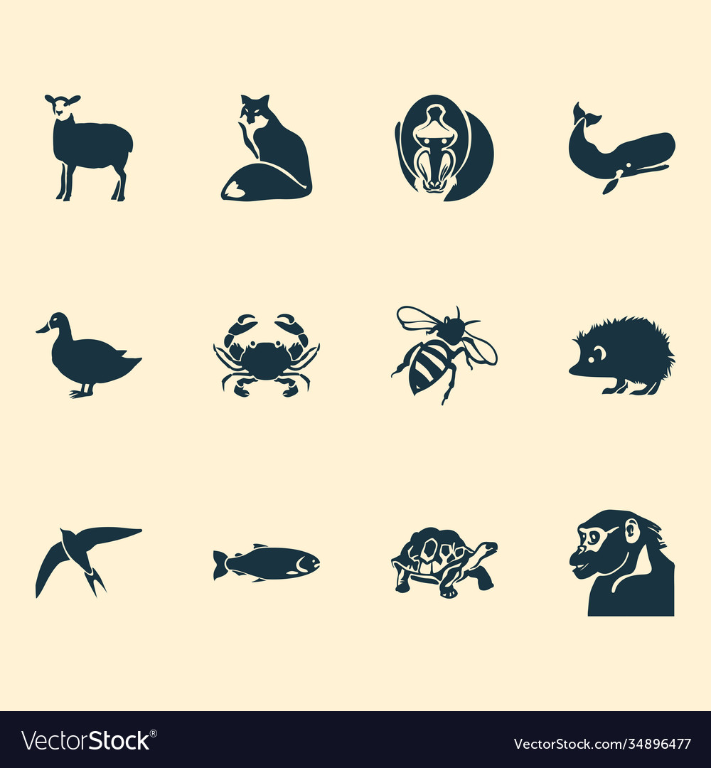 Zoo icons set with swift turtle cachalote Vector Image Zoo icons set with swift turtle cachalote