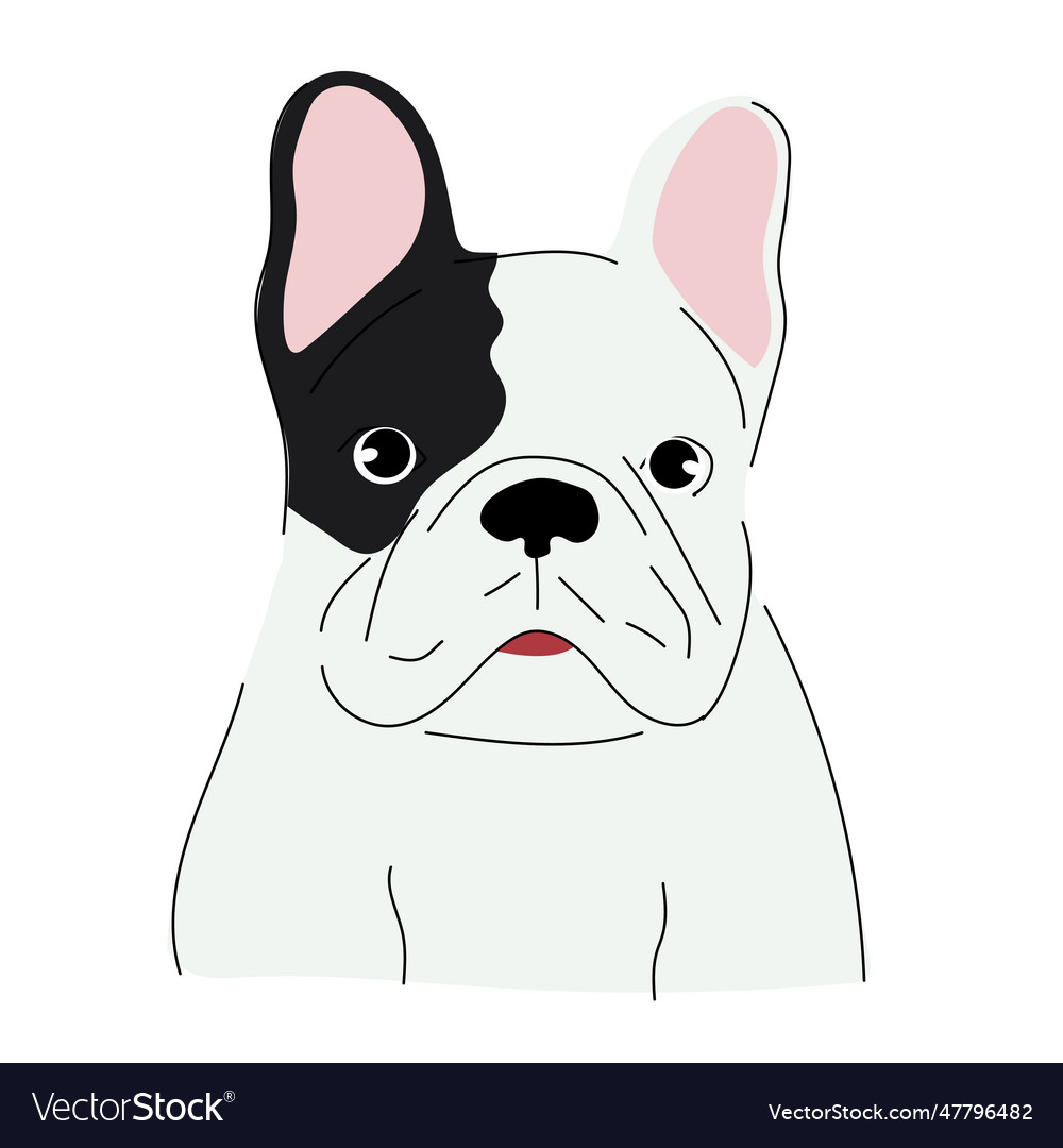 Cute doodle of a french bulldog