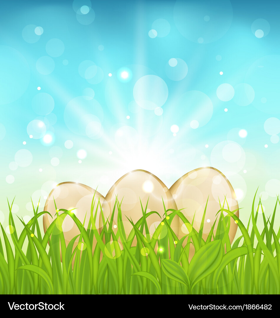 Easter background with eggs in grass Royalty Free Vector