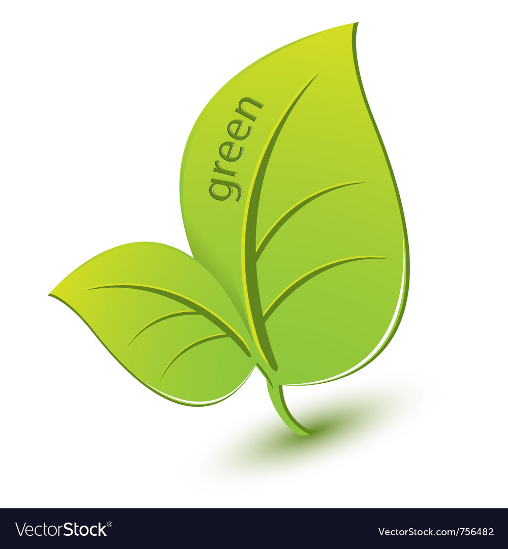 Green leaf Royalty Free Vector Image - VectorStock