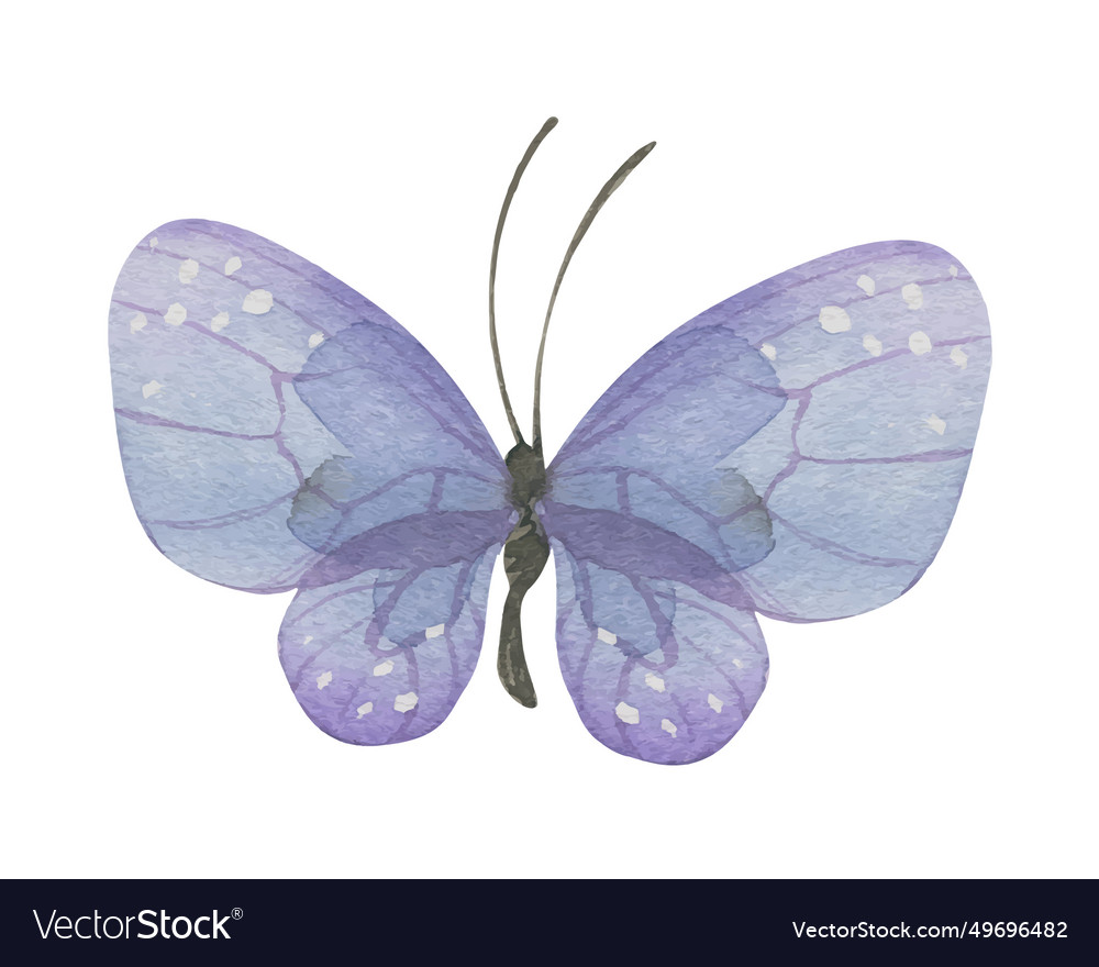 Purple butterfly hand-drawn watercolor