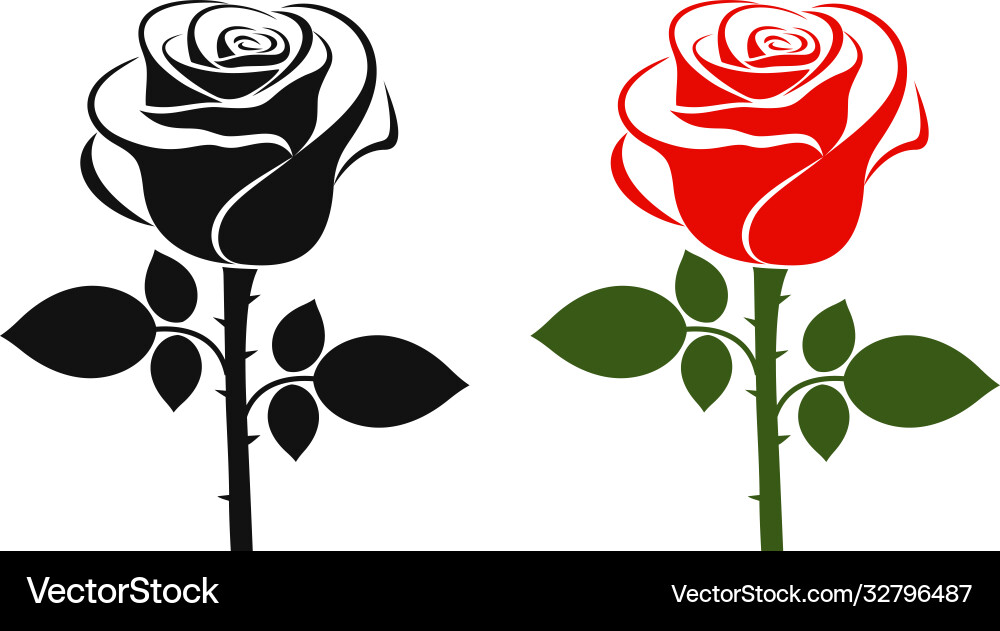 Rose Royalty Free Vector Image - VectorStock