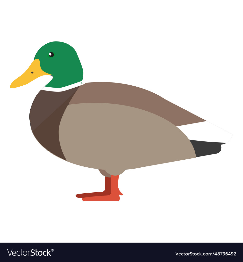 Duck side view flat Royalty Free Vector Image - VectorStock