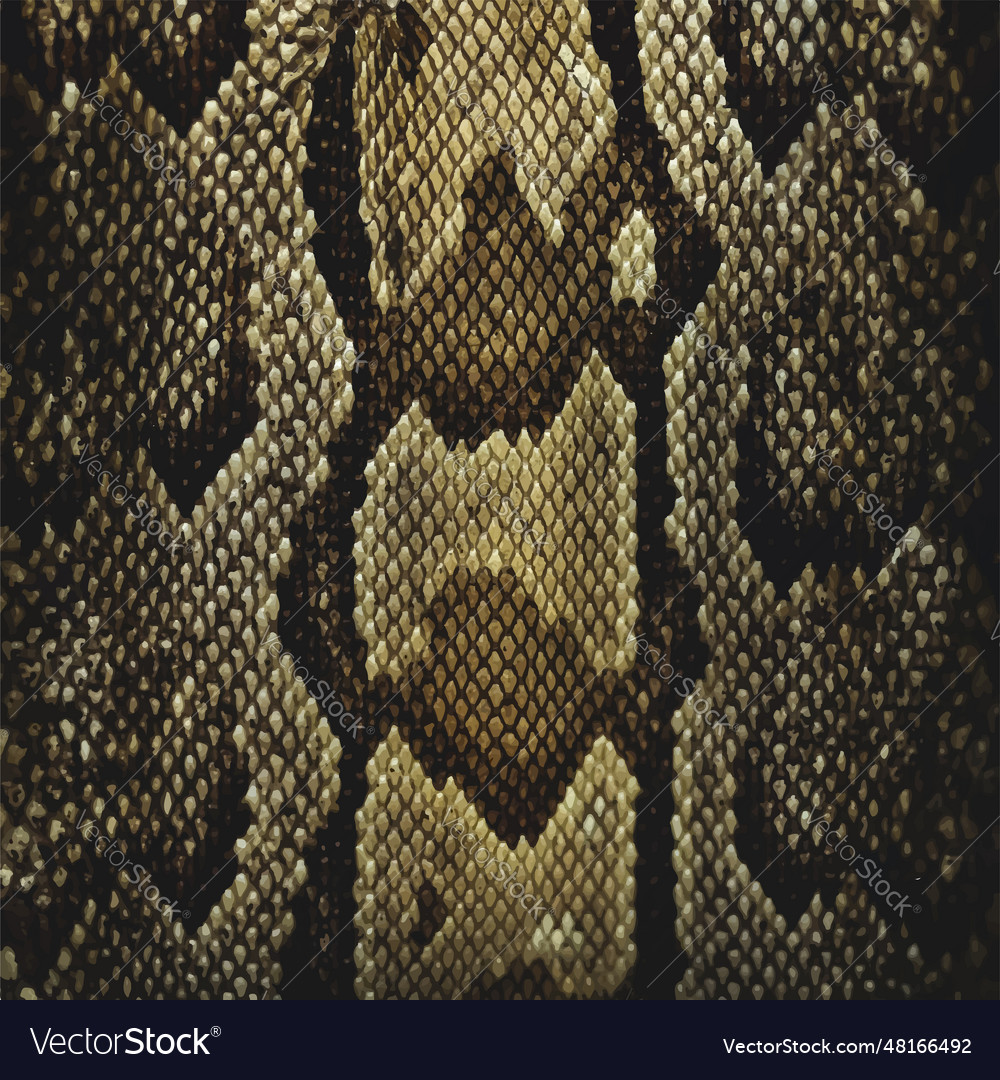 Snakeskin Texture - Rustic Pattern