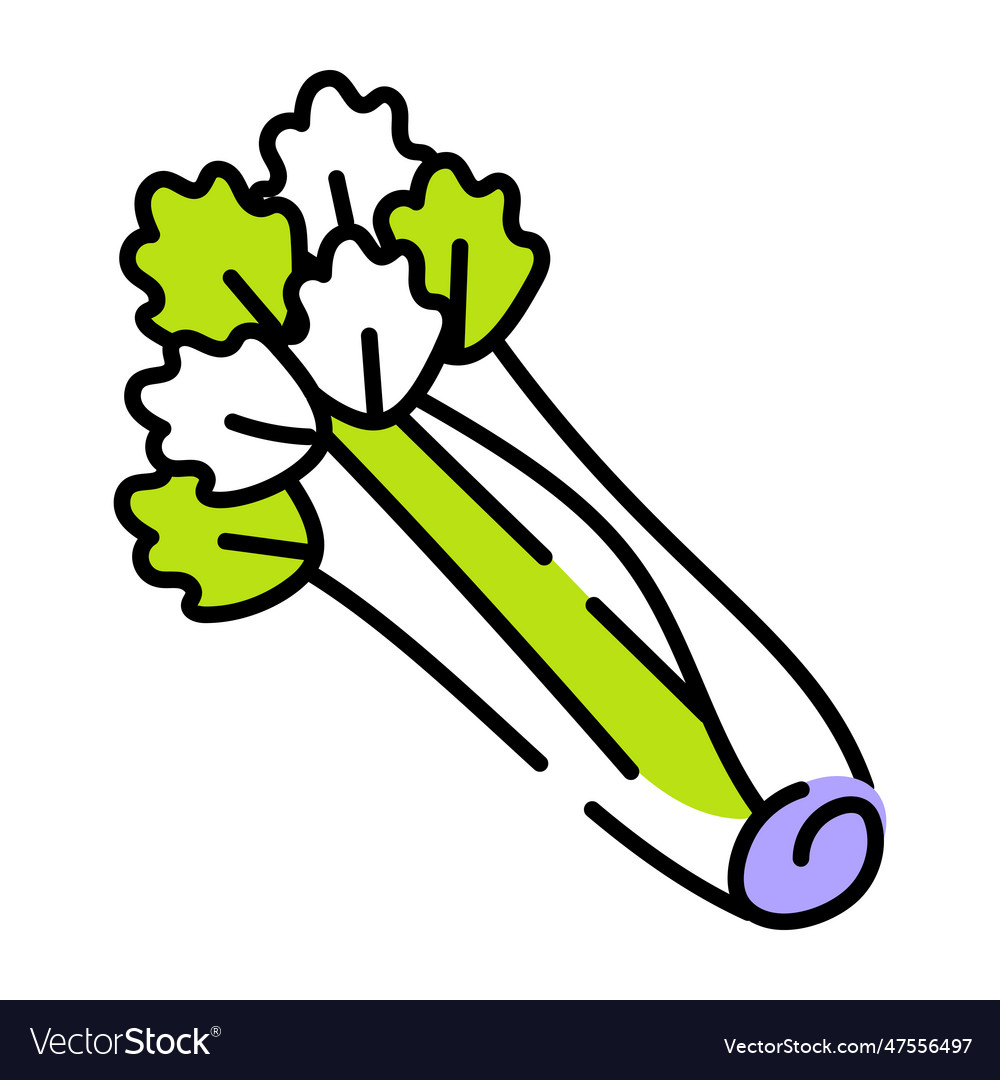 Celery Royalty Free Vector Image VectorStock