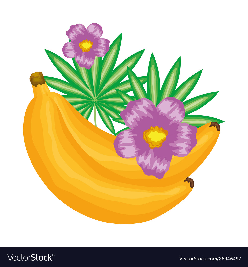 Fresh banana fruit with floral decoration