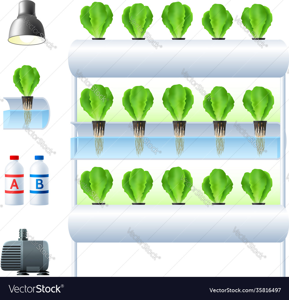 Hydroponics system icon set