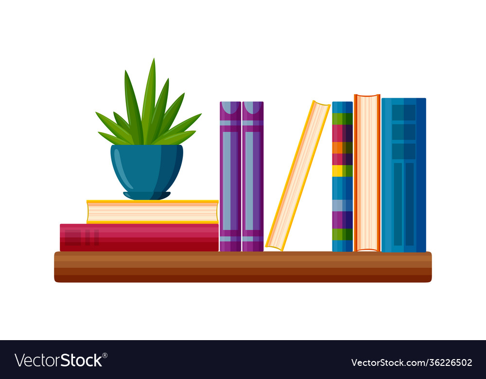 Bookshelf with potted succulent books in cartoon