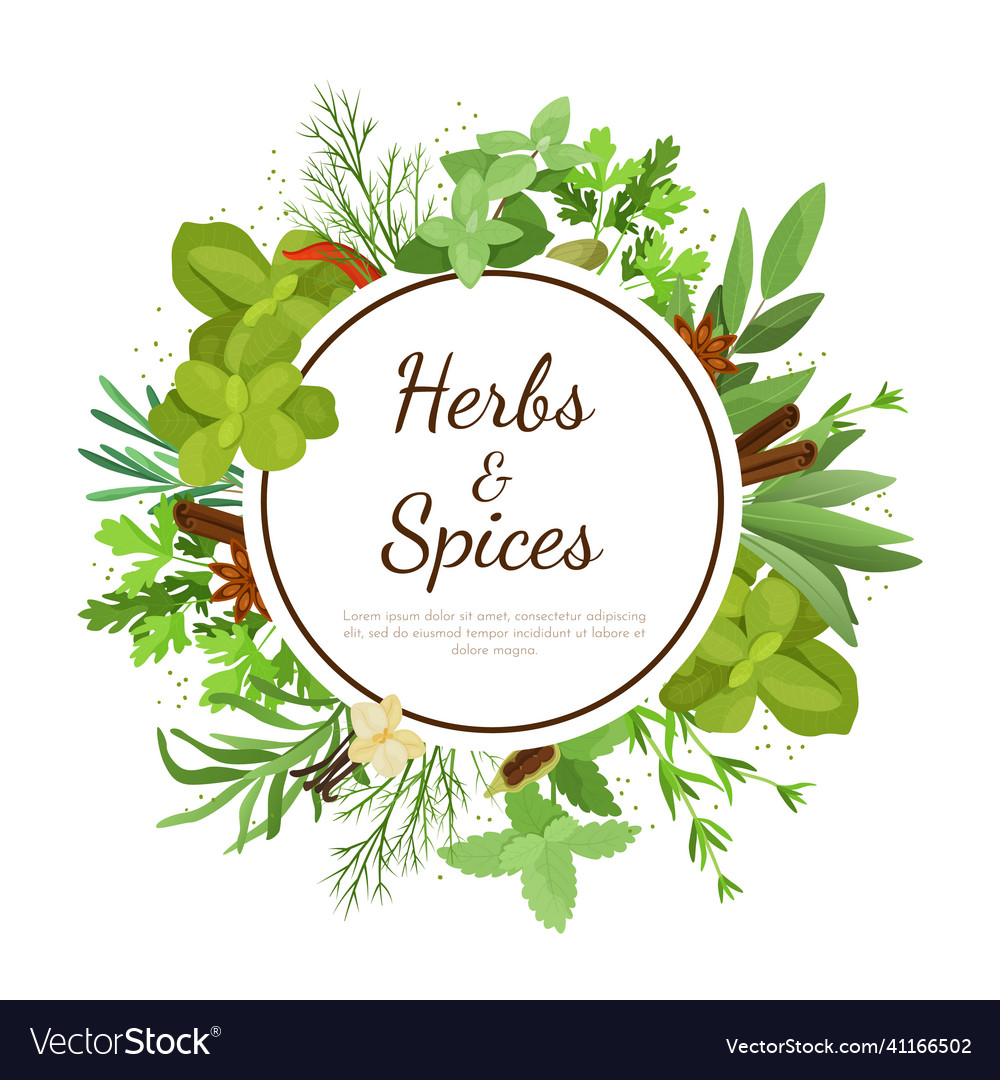 Cooking herbs banner cartoon culinary condiment Vector Image