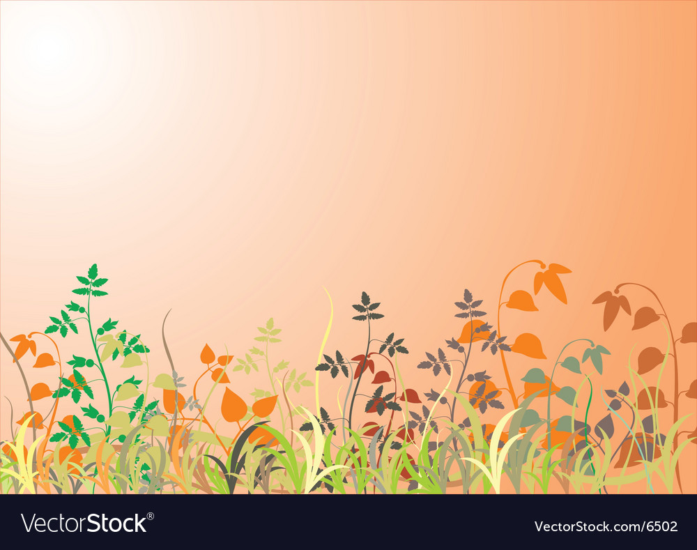 Grass background