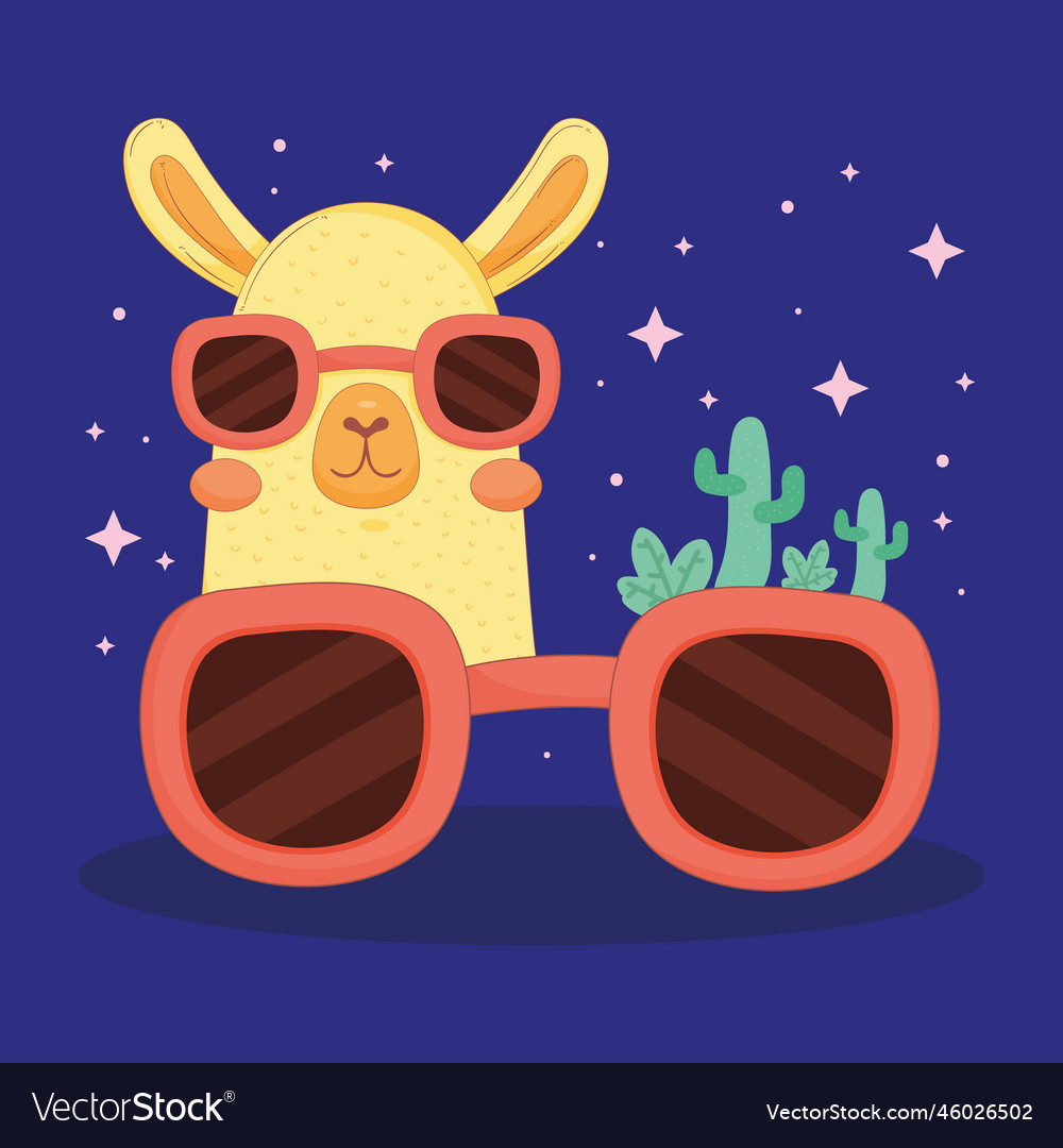 Llama with summer sunglasses