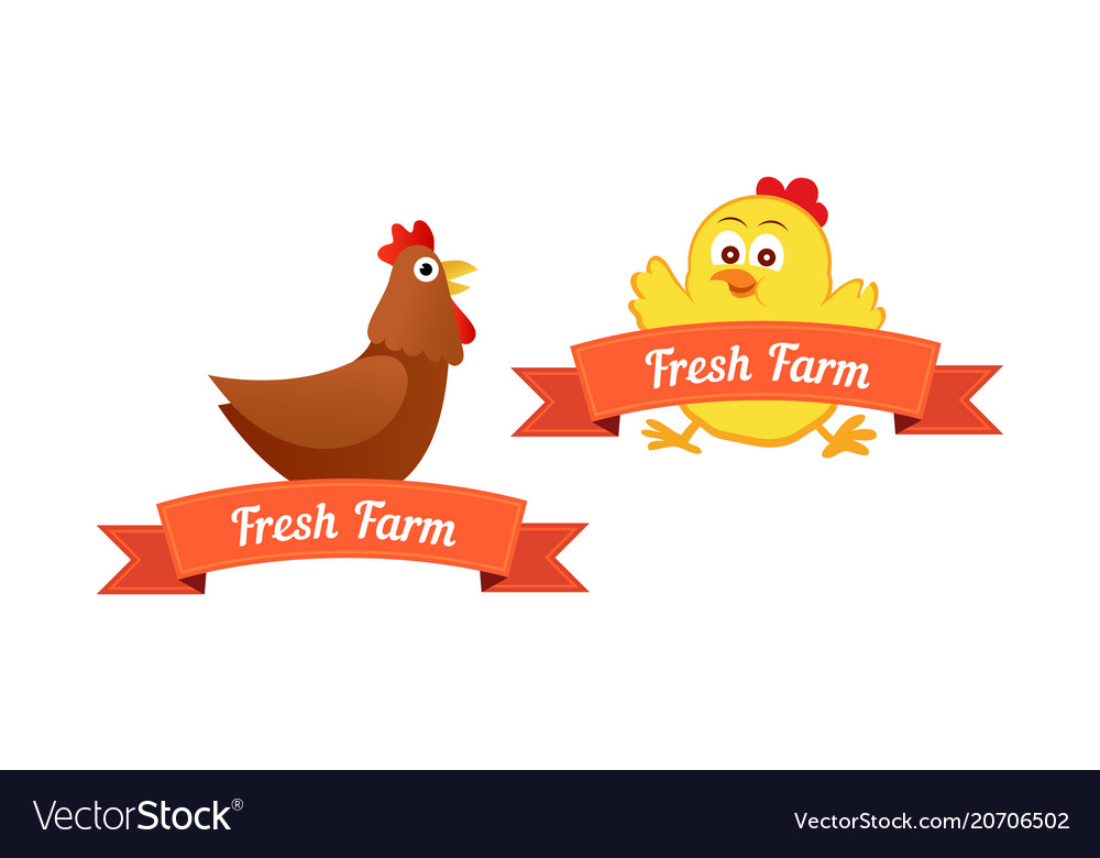 Set of emblems with chickens vector image Set of emblems with chickens
