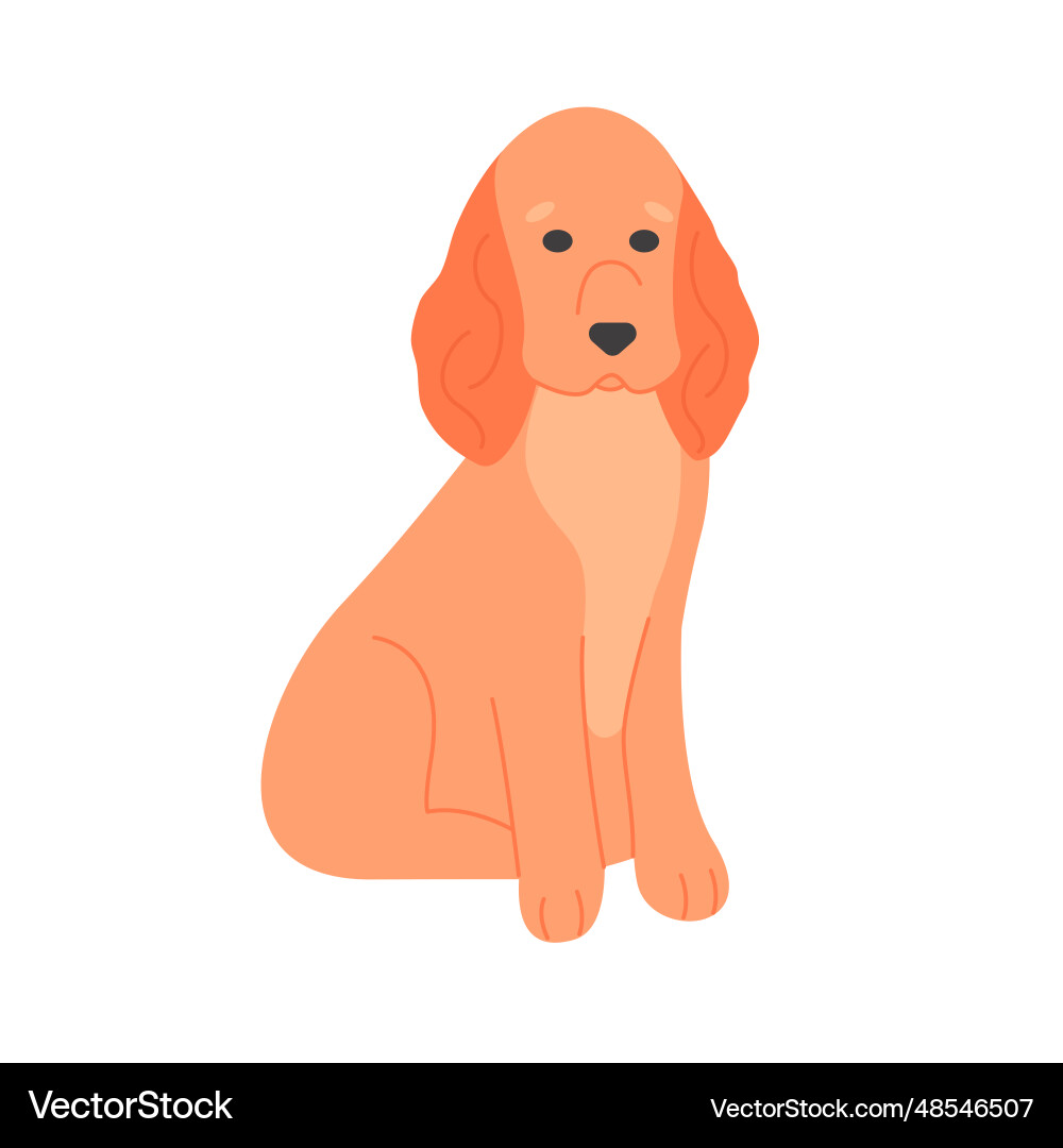 English cocker spaniel dog Royalty Free Vector Image
