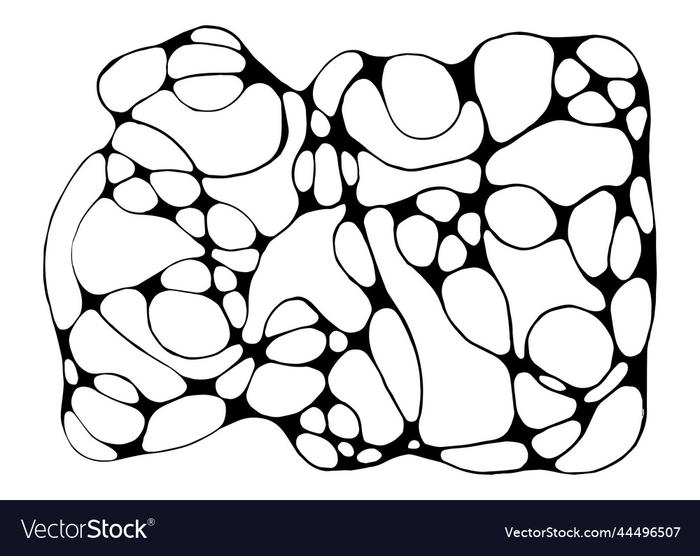 ellipse graphic presentation neurobs