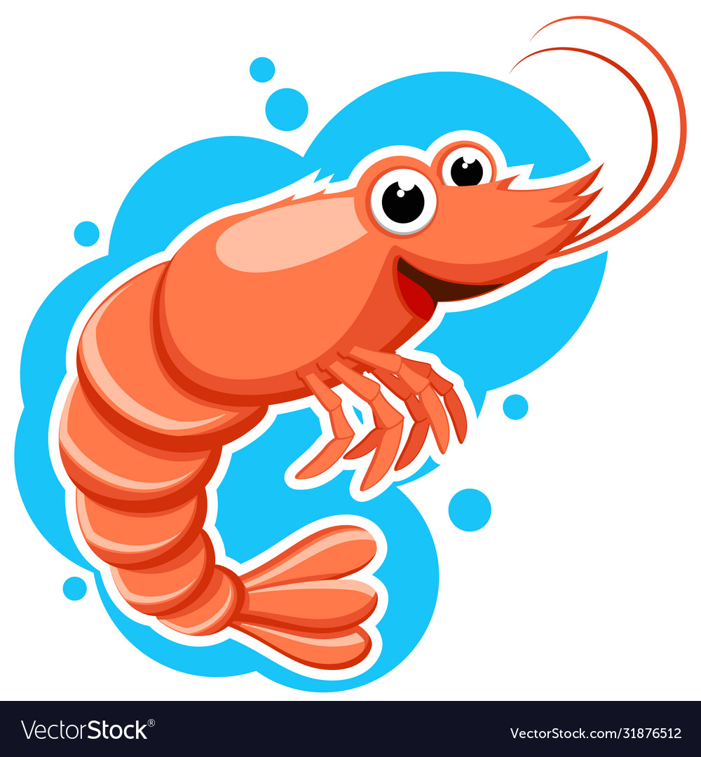 Red shrimp on a background water