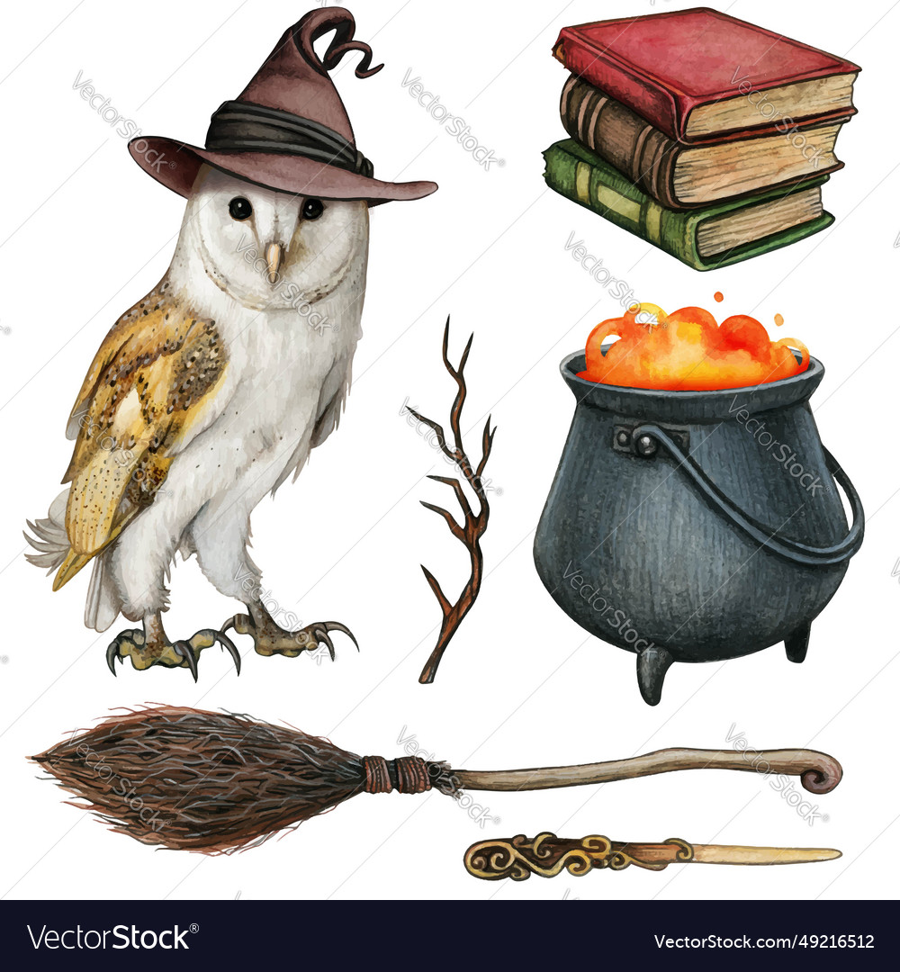 Watercolor beautiful barn owl wearing a witch hat Vector Image