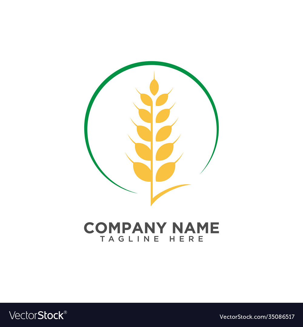 Agriculture wheat logo template icon design Vector Image