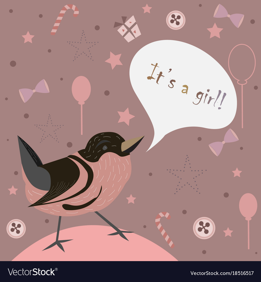 baby girl birth announcement baby shower vector image announcement of a baby girl