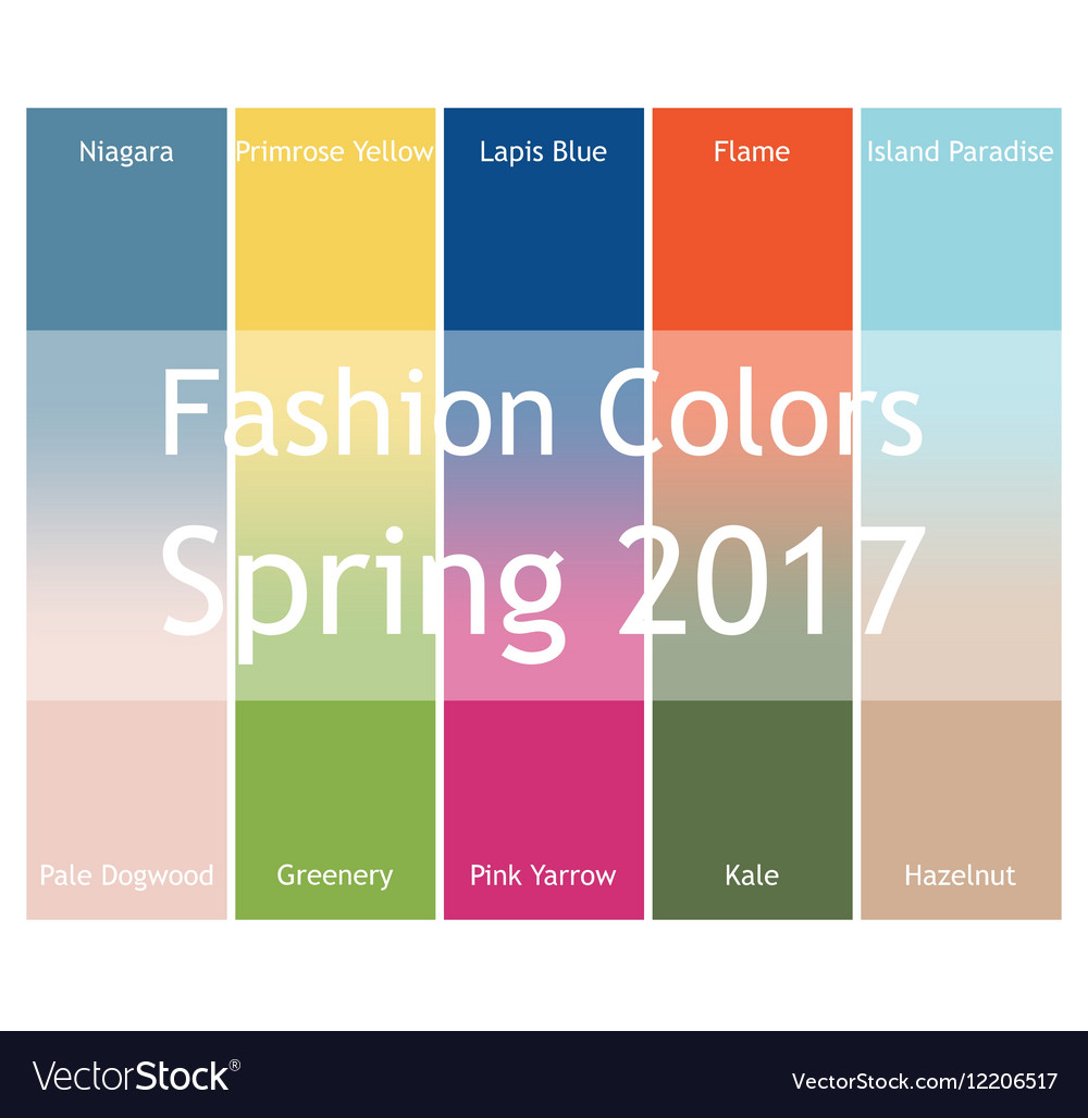 Blurred Fashion Infographic With Trendy Colors Of Vector Image