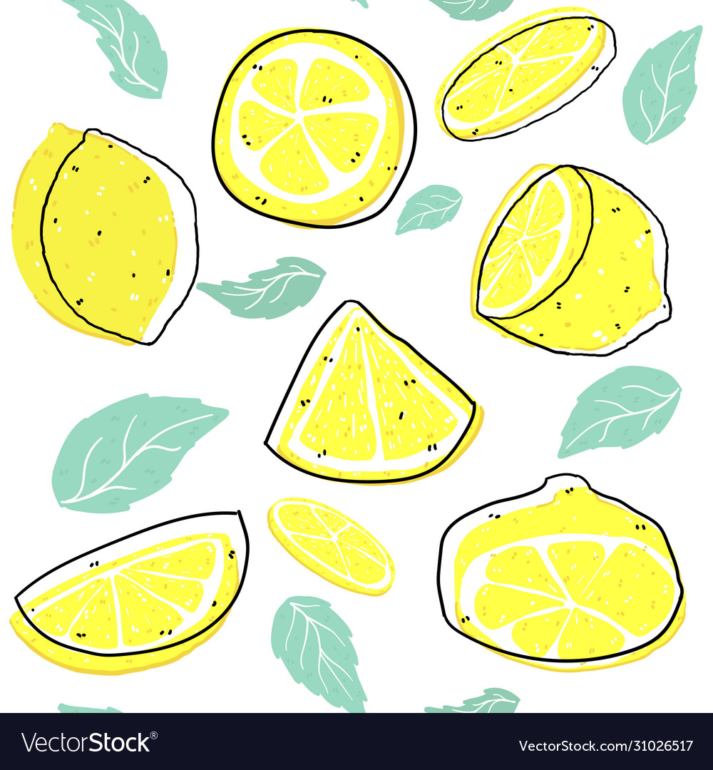 Bright sliced lemon and leaves with line pattern vector image Bright sliced lemon and leaves with line pattern