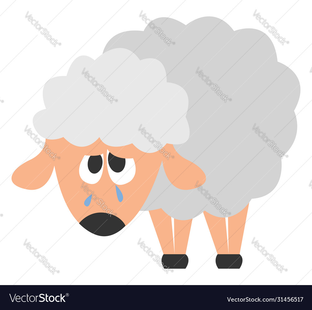 Sad sheep on white background Royalty Free Vector Image