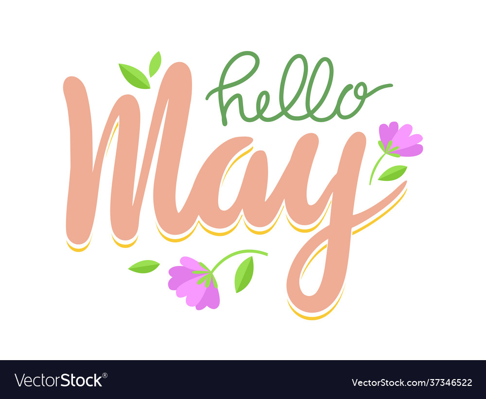 Hello may banner spring season greeting lettering Vector Image