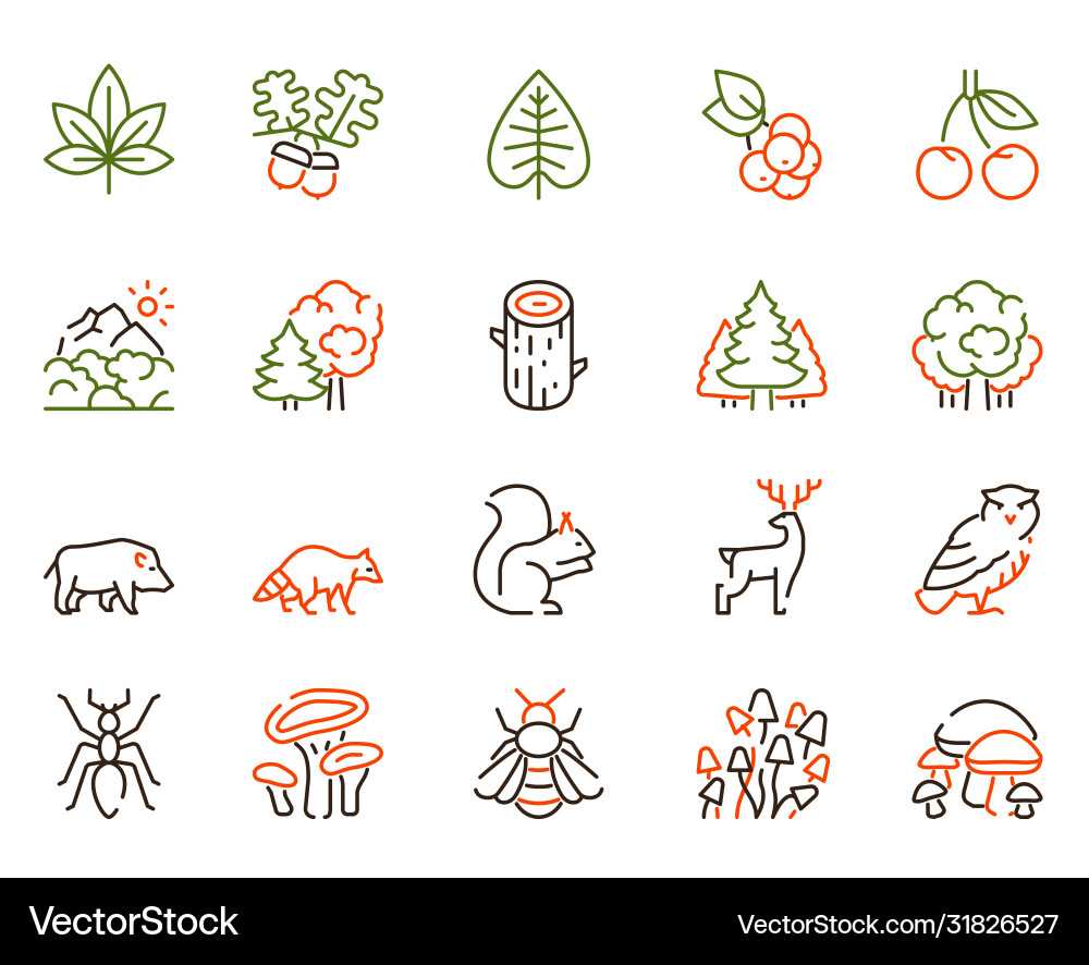 Color linear icon set forest objects Royalty Free Vector