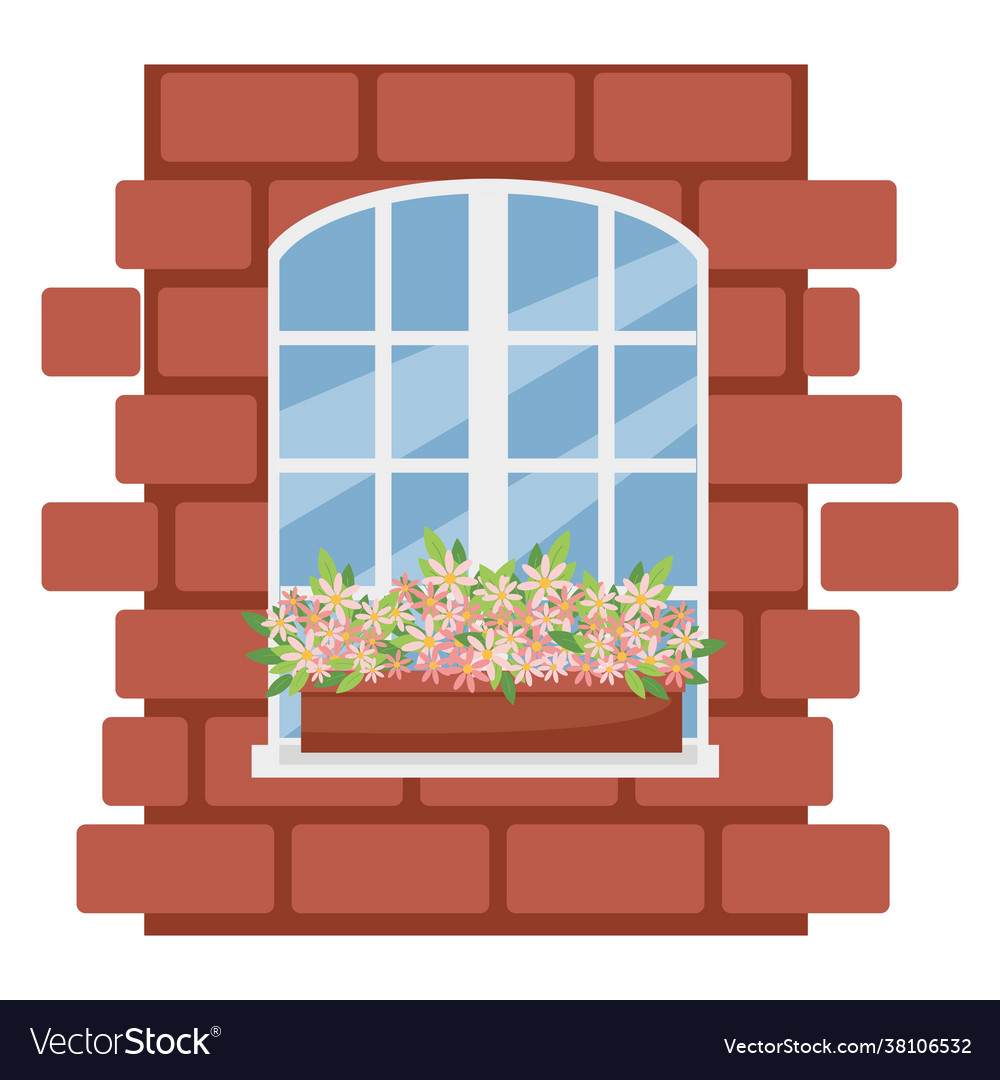 Chamomiles in Window Box