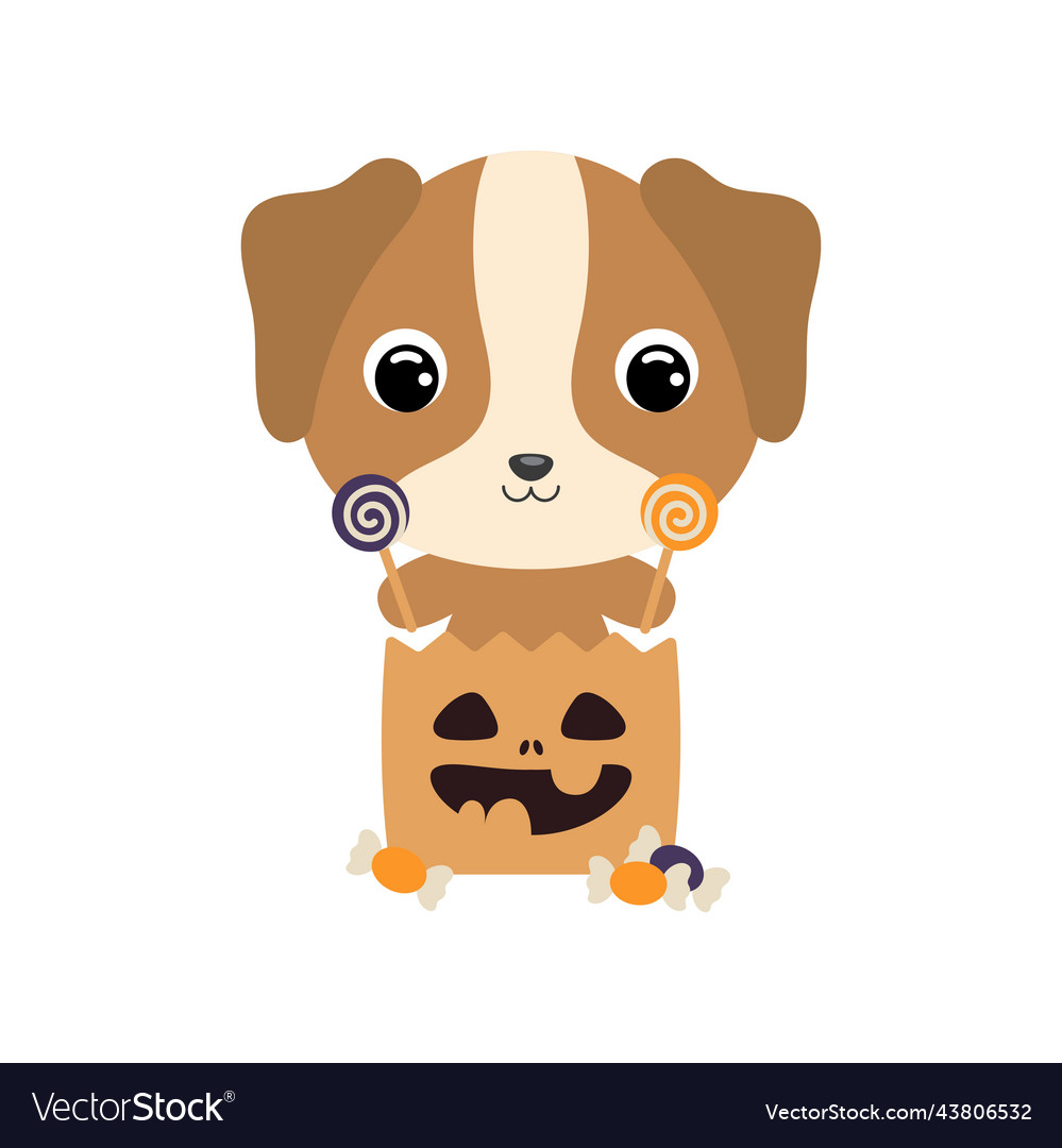 Cute halloween dog sitting in a trick or treat Vector Image