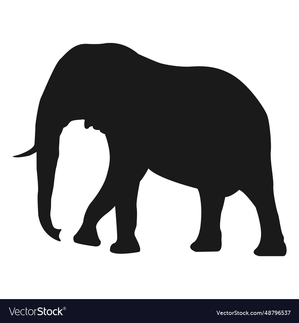 Elephant silhouette