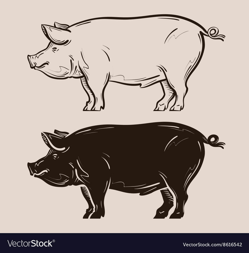 Piggy, Logopedia