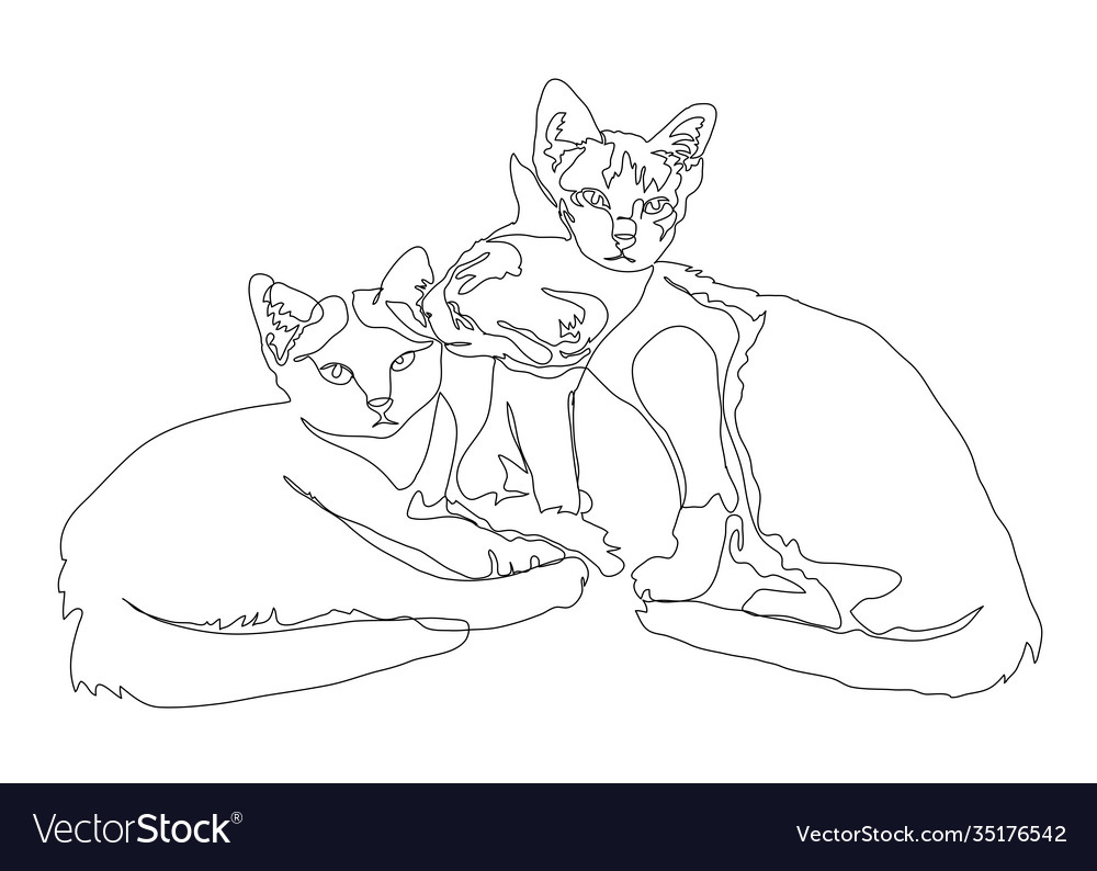 Three Kittens - Continuous Line Art