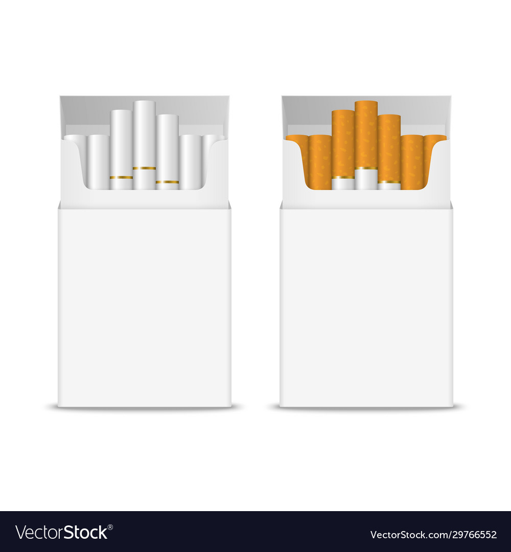 3d realistic opened clear blank cigarette Vector Image