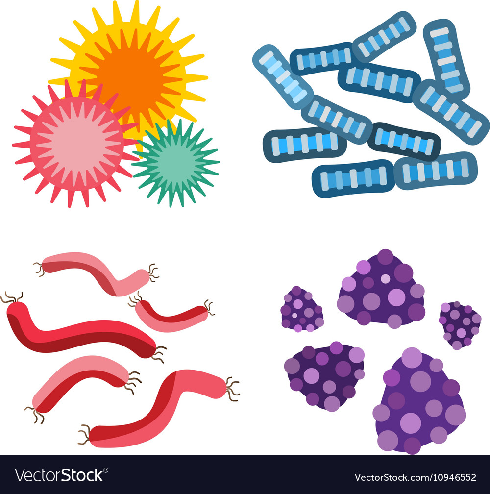 Bacteria virus icon