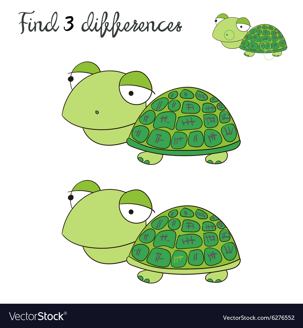 Find differences kids layout for game turtle