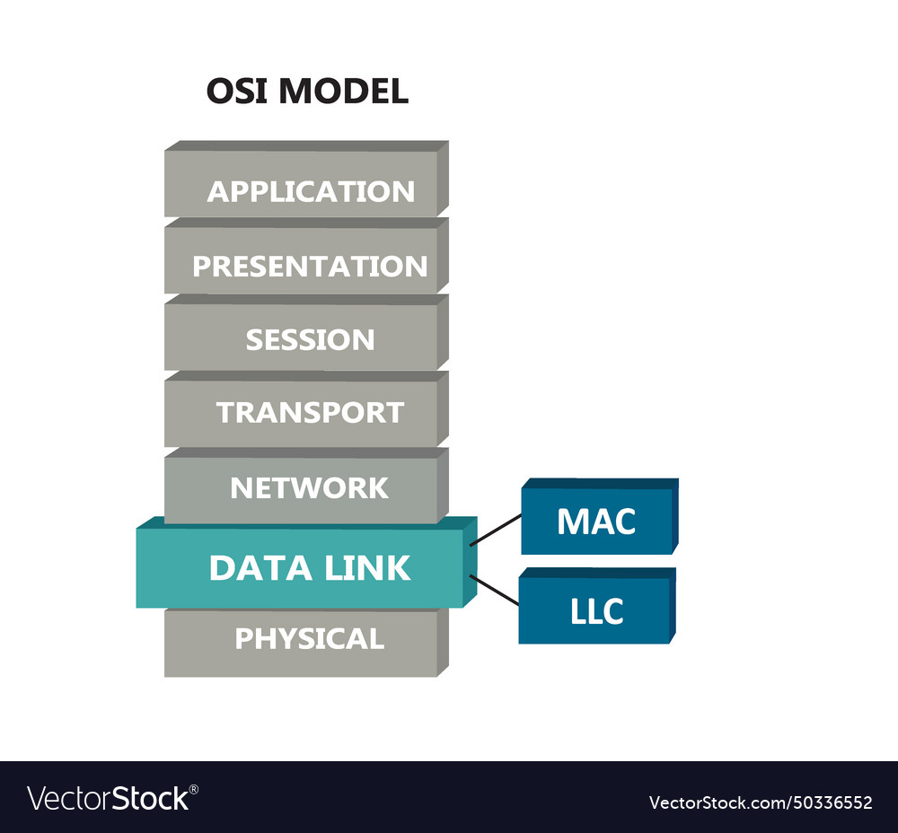 Osi network model with data link sub layers Vector Image