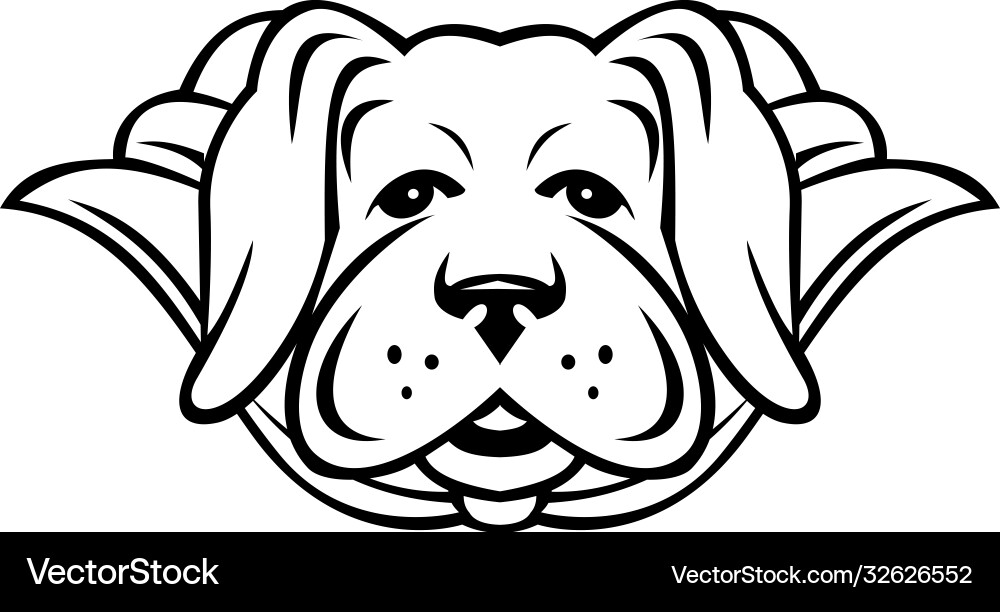 Super yellow labrador dog wearing cape front view Vector Image