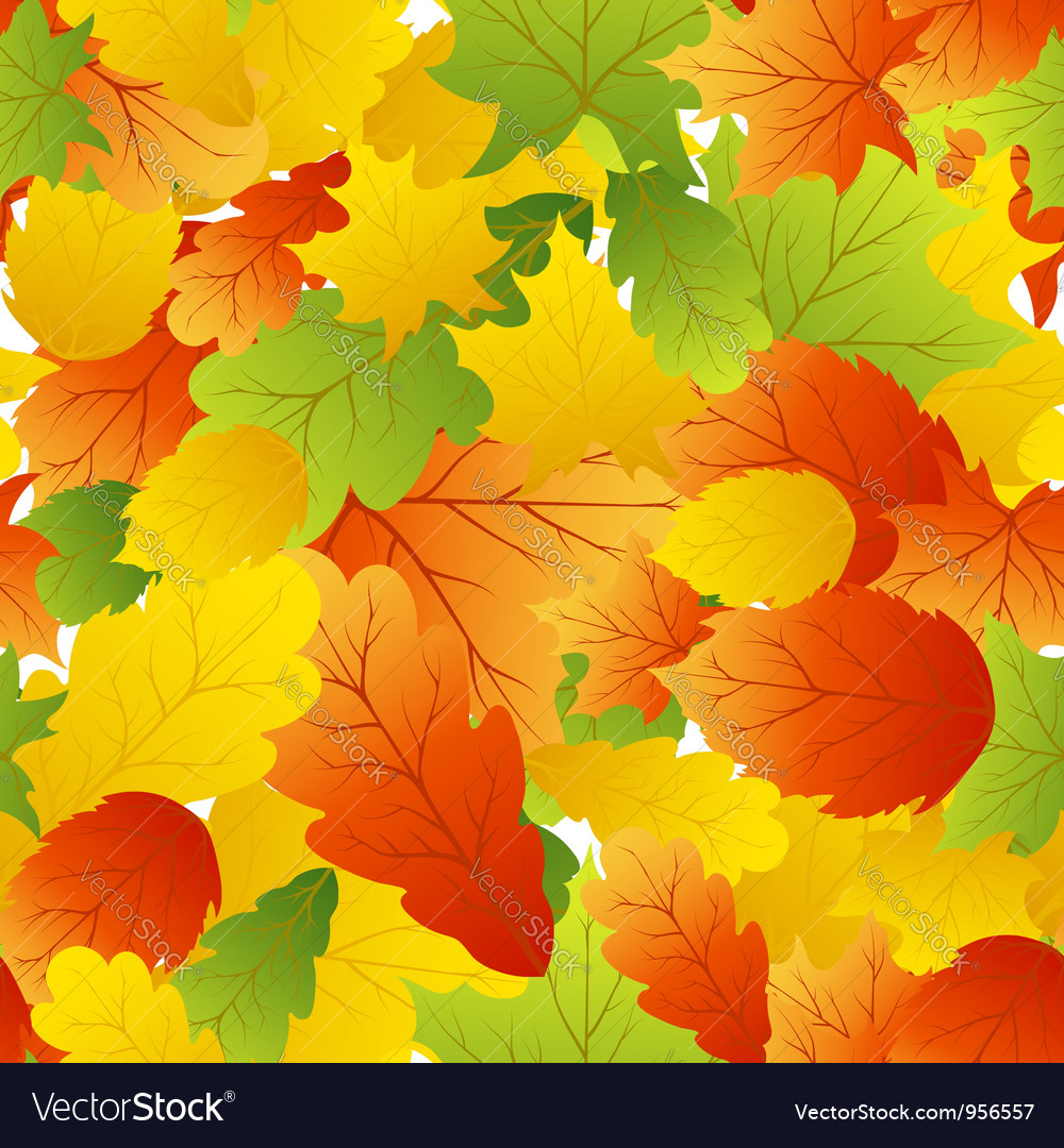 Autumn seamless Royalty Free Vector Image - VectorStock