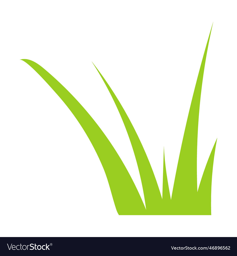 Young greenery grass pattern Royalty Free Vector Image