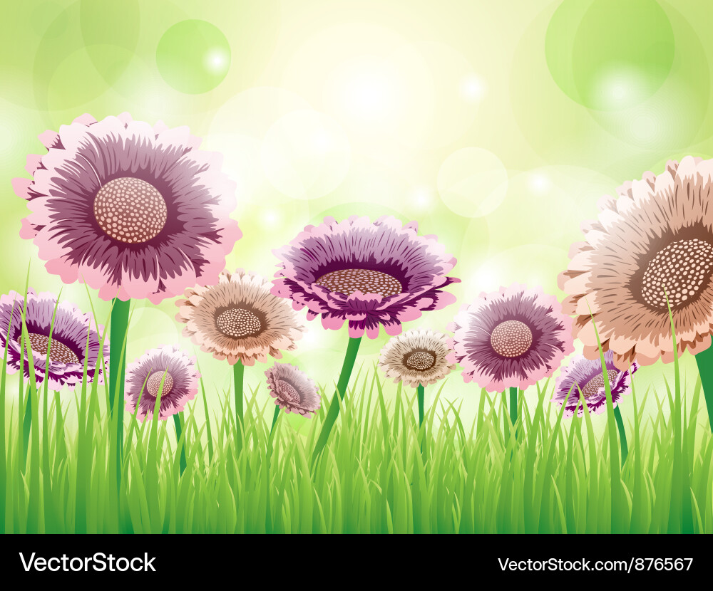 Flowers background Royalty Free Vector Image - VectorStock