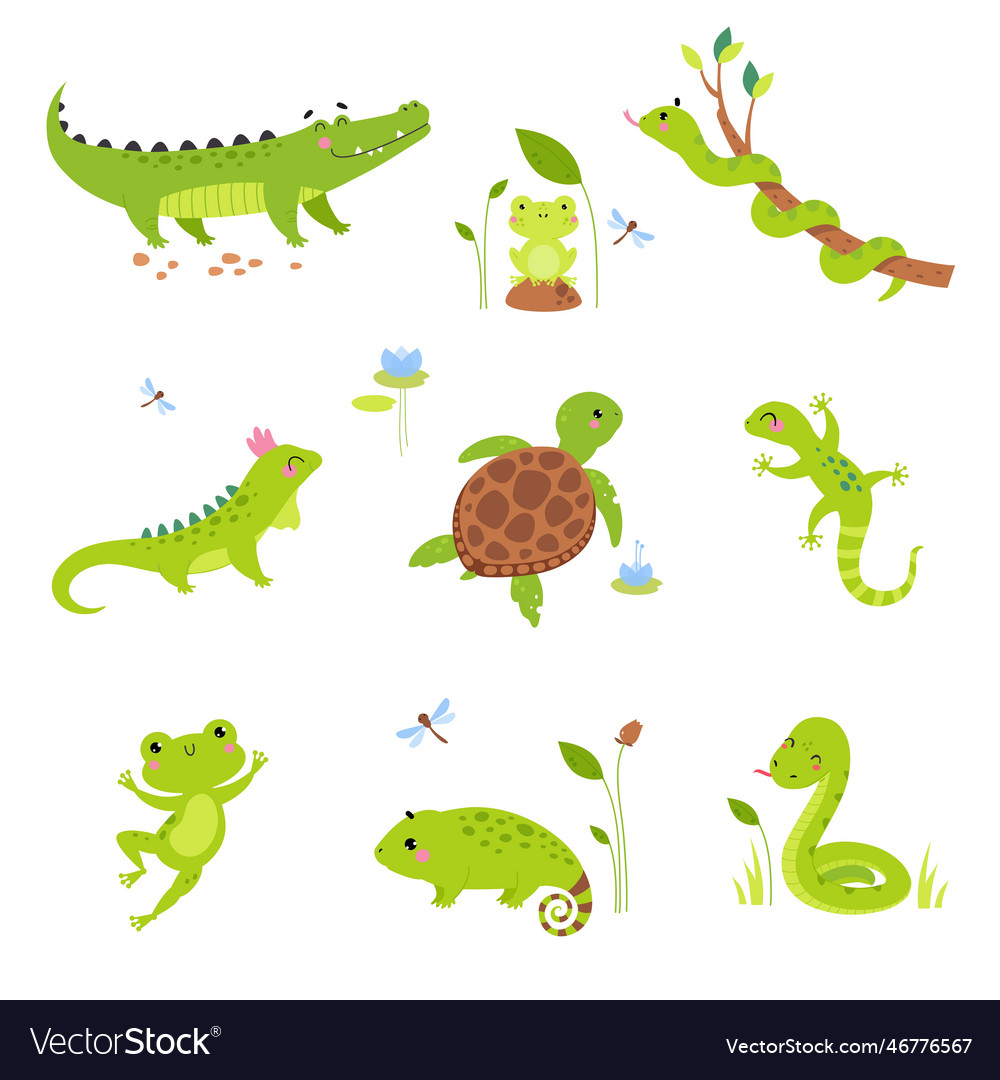 Happy green animals with turtle frog snake