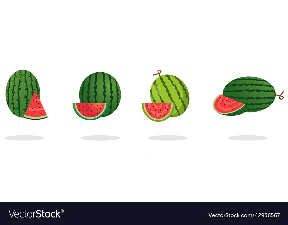 Watermelon set green stem