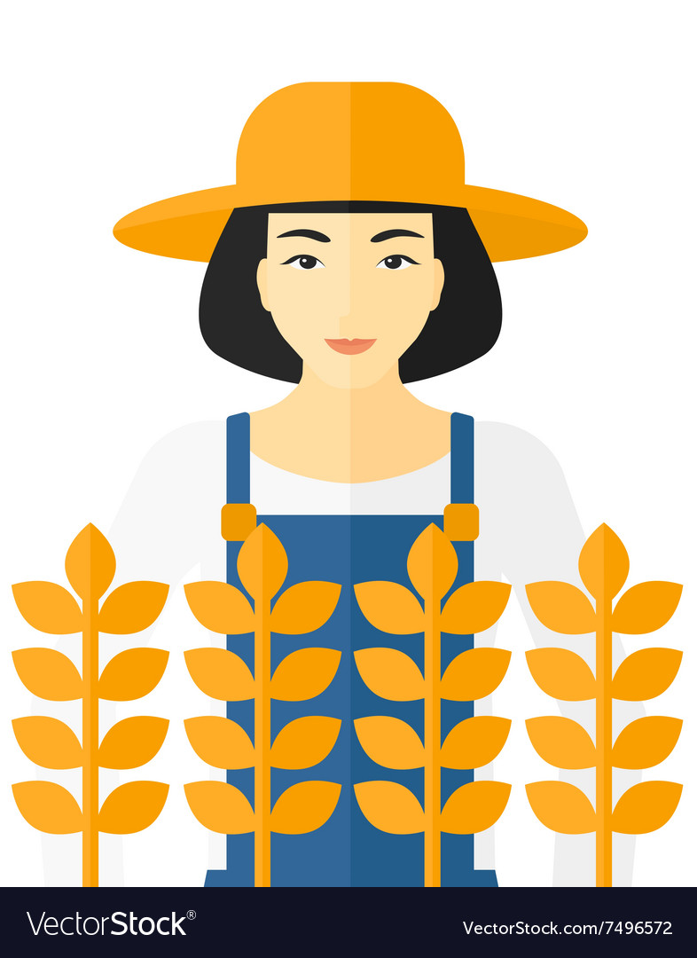Man in wheat field