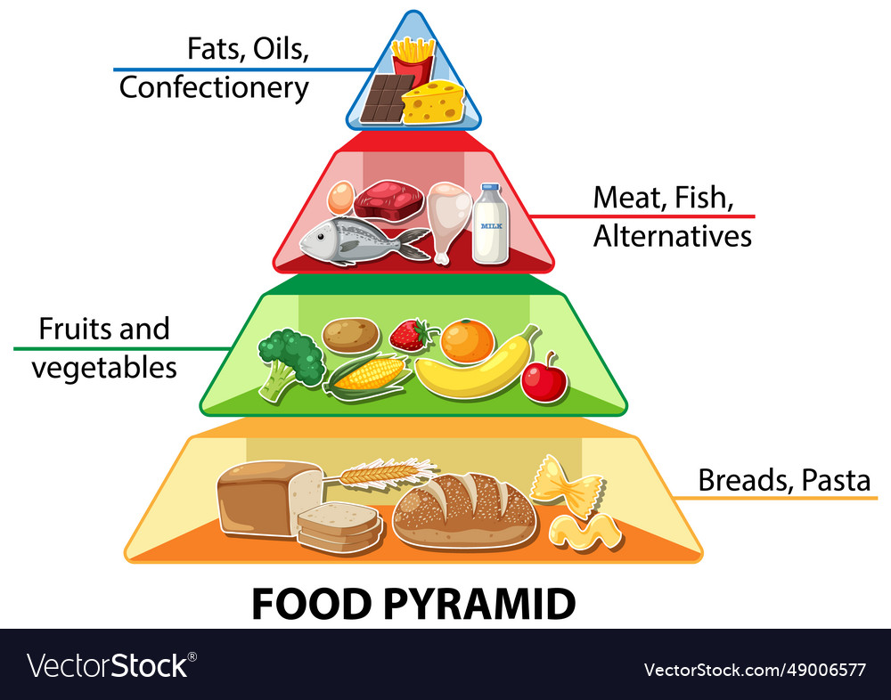 Cartoon food pyramid infographic a nutritional Vector Image