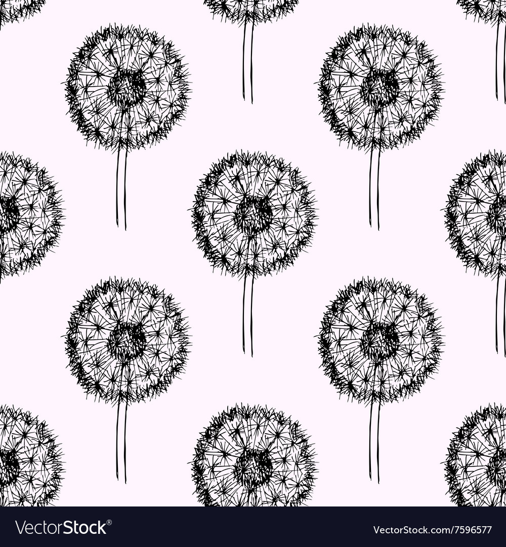 Sketch dandelion pattern