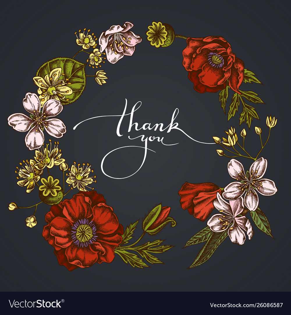 Dark floral wreath almond poppy flower tilia vector image Dark floral wreath almond poppy flower tilia