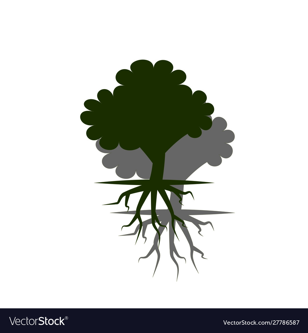 Tree with root system stock isolated on white vector image Tree with root system stock isolated on white