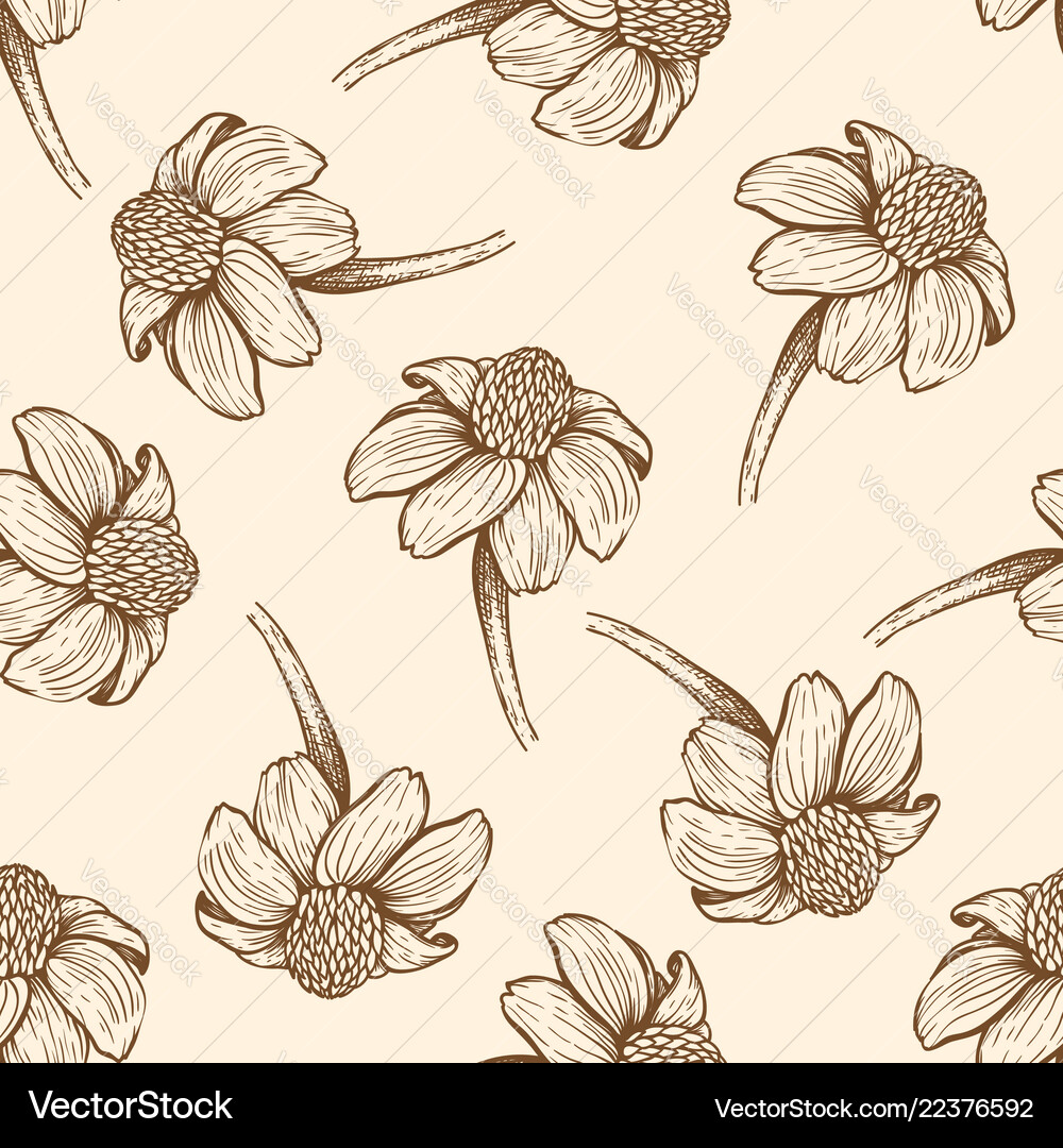 Seamless pattern with daisy flowers Royalty Free Vector